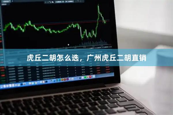 虎丘二胡怎么选，广州虎丘二胡直销